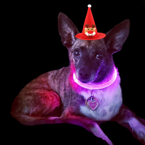Load image into Gallery viewer, Dog Light up Collar LED Collar Light up Cat Collar USB Rechargeable Collar Christmas Decoration Pet Collar Pet Christmas Gifts
