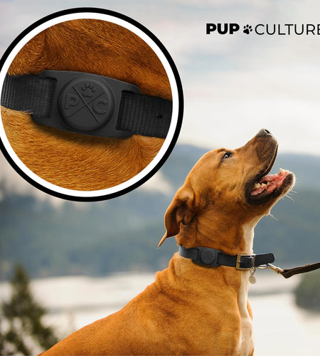 Airtag Dog Collar | Durable & Protective Dog Airtag Holder - Track Your Pet Using Apple Airtag Technology - Dog Collar Airtag Holder -For Dogs and Cats