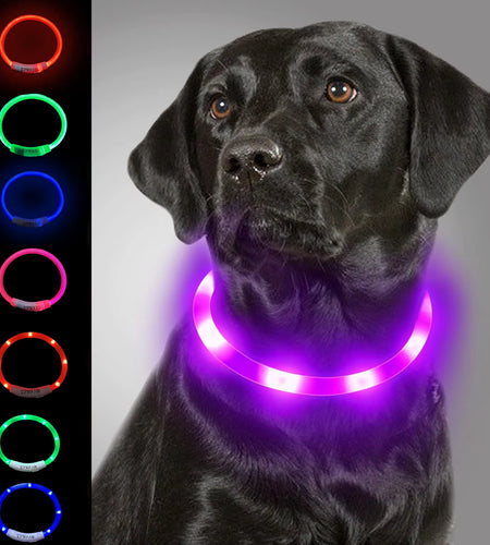 Dog Light up Collar LED Collar Light up Cat Collar USB Rechargeable Collar Christmas Decoration Pet Collar Pet Christmas Gifts