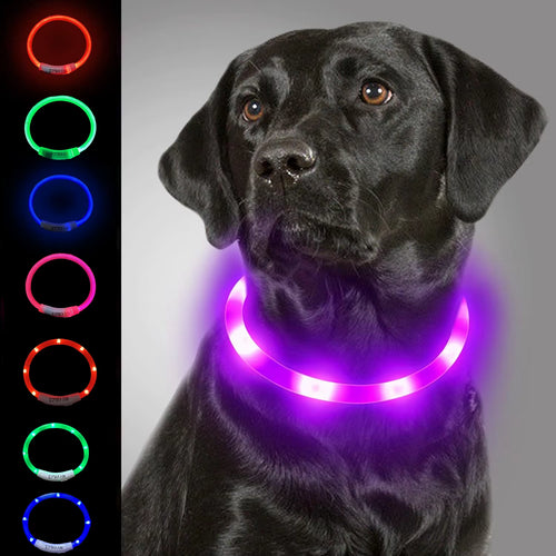 Load image into Gallery viewer, Dog Light up Collar LED Collar Light up Cat Collar USB Rechargeable Collar Christmas Decoration Pet Collar Pet Christmas Gifts
