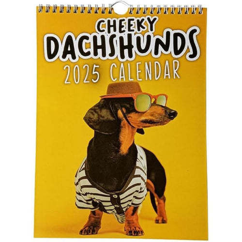 Load image into Gallery viewer, 2025 New Calendar, Schedule Planning, Halloween Gift, Christmas Gift, New Year Gift
