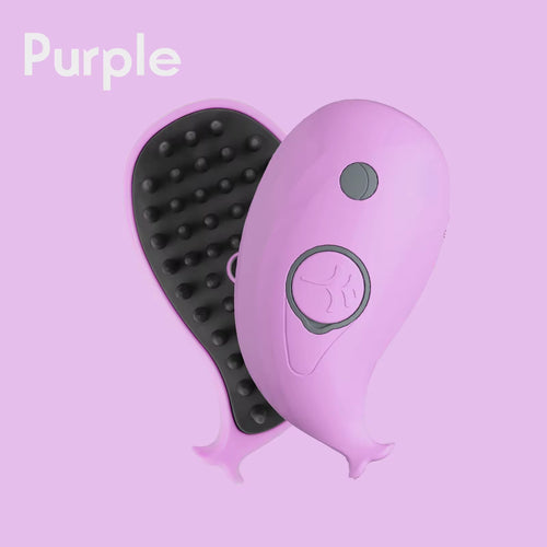 Load image into Gallery viewer, 3 in 1 Pet Brush Cat Steam Brush Comb Dog Brush Electric Spray Cat Hair Brushes Massage Pet Grooming Hair Removal Combs
