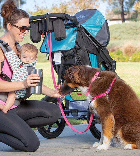 Portable Dog Water Bottle & Dog Water Bottle Dispenser (New - Large 22Oz Water & Food Dispenser) Insulated 2 Wall Stainless Steel - Optimal Cool Water Temp - Perfect Dog Travel Water Bottle