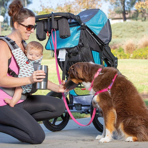 Load image into Gallery viewer, Portable Dog Water Bottle &amp; Dog Water Bottle Dispenser (New - Large 22Oz Water &amp; Food Dispenser) Insulated 2 Wall Stainless Steel - Optimal Cool Water Temp - Perfect Dog Travel Water Bottle
