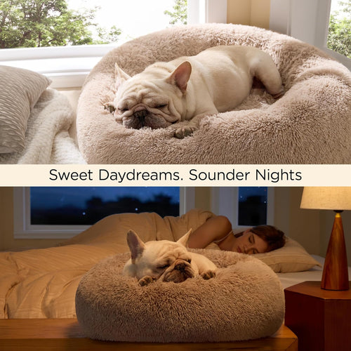 Load image into Gallery viewer, Calming Cat Beds for Indoor Cats - Small Cat Bed Washable 20 Inches, Anti-Slip round Fluffy Plush Faux Fur Pet Bed, Fits up to 15 Lbs Pets, Camel
